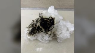 Alta grapa ignífuga biodegradable 1.33D*38MM de Lyocell, fibra cortada uniforme para girar y Nonwo