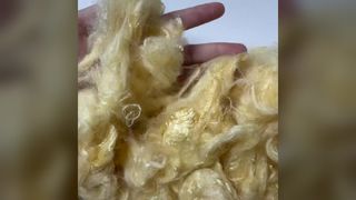 Fibra de soja de 1,5DX51mm