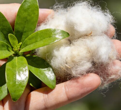 Últimas noticias de la empresa sobre Fibras huecas negras y blancas: la opción preferida para la fabricación textil e industrial