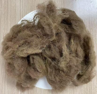 Un buen precio. Fibra de poliéster reciclado de baja elongación, 25D, 65 mm, color camello profundo en línea