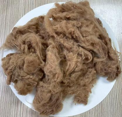 Un buen precio. Fibra de repuesto de poliéster reciclado 1.5D 38mm Camello ligero en línea