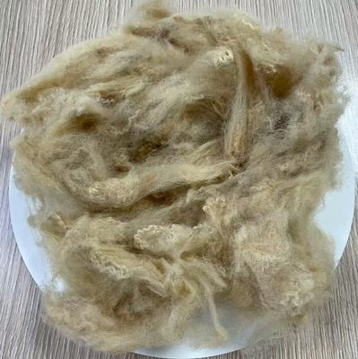 Un buen precio. Fibra de poliéster reciclado 6D 51mm Beige Alta Tenacidad en línea