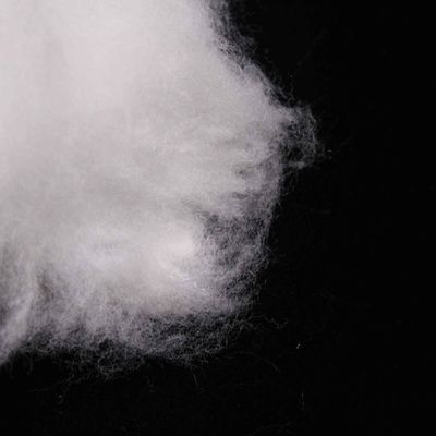 Un buen precio. Propileno lado a lado Fibras de grapa de poliéster ligero artificial para máscaras faciales en línea