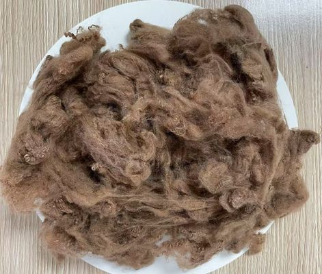 Un buen precio. Fibra de poliéster reciclado cortada 2.5D 51mm Amarillo Café Alta resistencia a las arrugas en línea