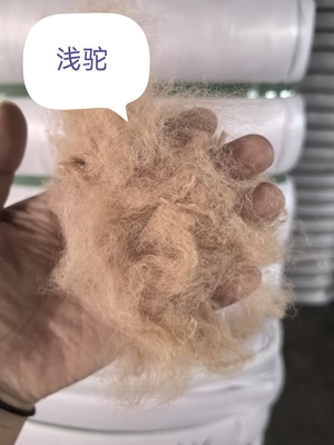 Un buen precio. Fibra de grapa de poliéster reciclado 3D resistente a los rayos UV de 51 mm en línea