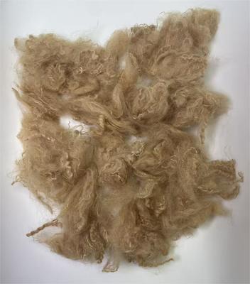 Un buen precio. Recycled Polyester Staple Fiber with 38-64mm Fiber Cut Length High Tear Resistance and 0.4% Moisture Regain en línea